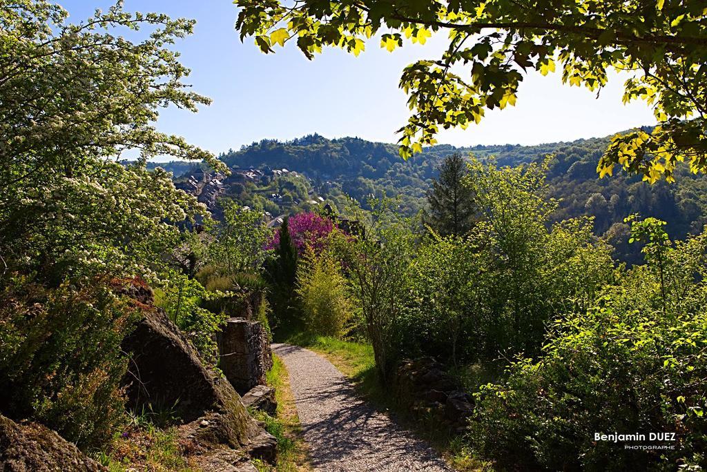 Chambre D'Hotes De La Bastide De Najac Esterno foto